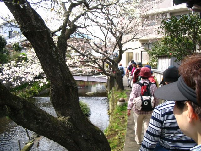 IMG_0440.JPG