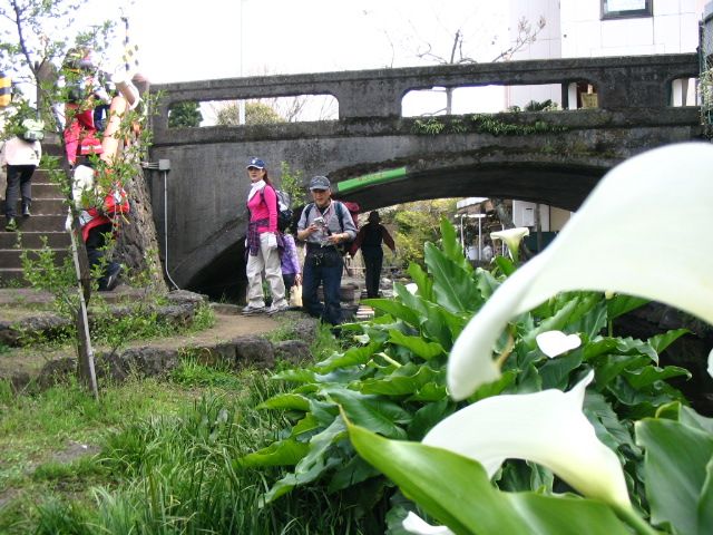 IMG_0486.JPG
