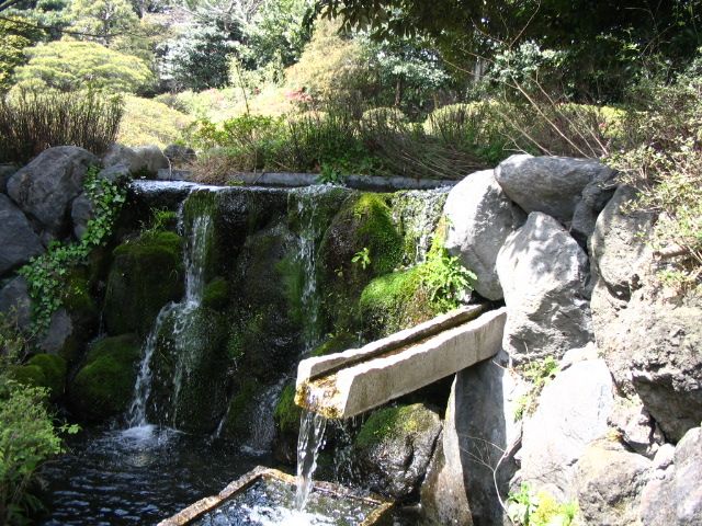 IMG_0386.JPG