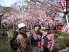 IMG_0083_thumb.png