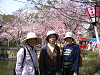 IMG_0084_thumb.png