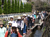 IMG_0165_thumb.png