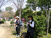 IMG_0202_thumb.png