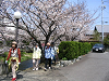 IMG_0216_thumb.png