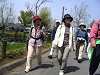 IMG_0282_thumb.png