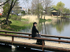 IMG_0300_thumb.png