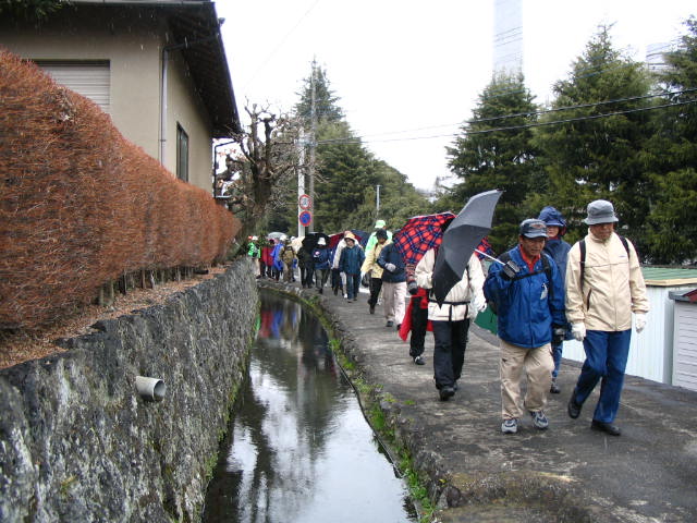 IMG_5735.JPG