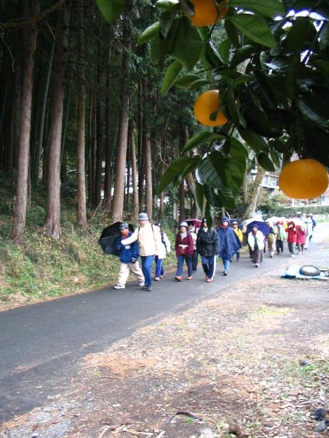 IMG_5744.JPG