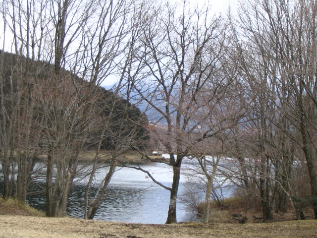 IMG_7517.JPG