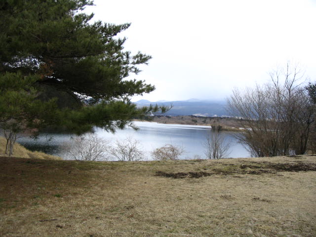 IMG_7518.JPG