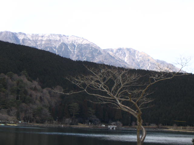 IMG_7525.JPG