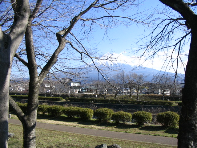 IMG_7051.JPG