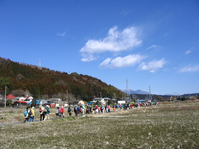 IMG_7076.JPG