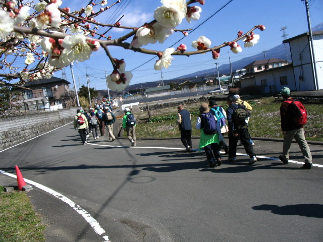 IMG_7084.JPG