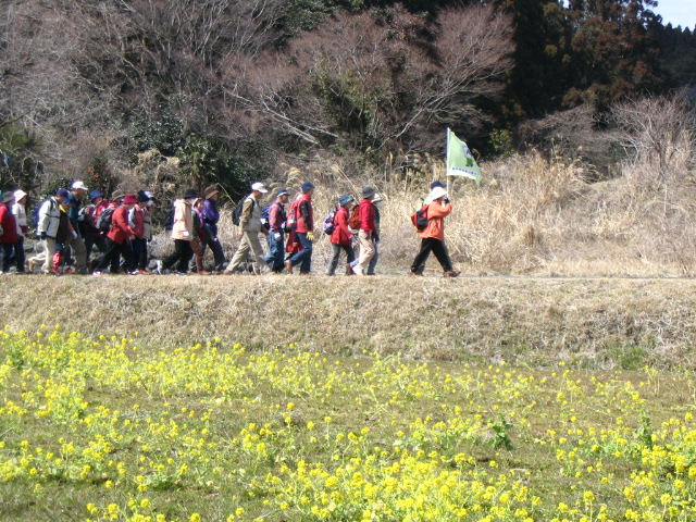 IMG_7286.JPG
