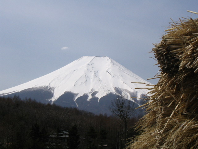 IMG_2552.JPG