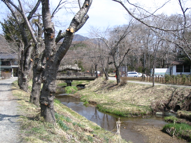 IMG_2579.JPG