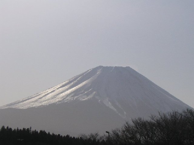 IMG_2264.JPG