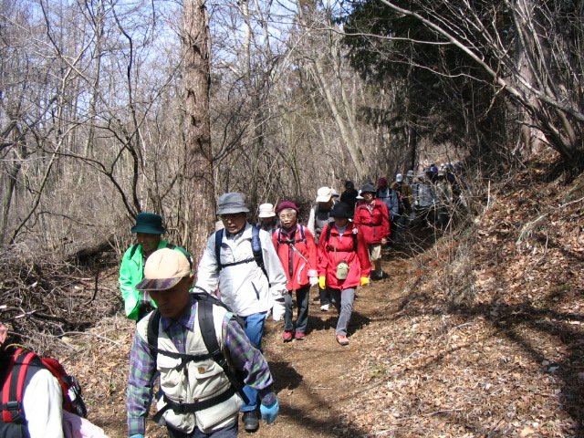 IMG_2367.JPG