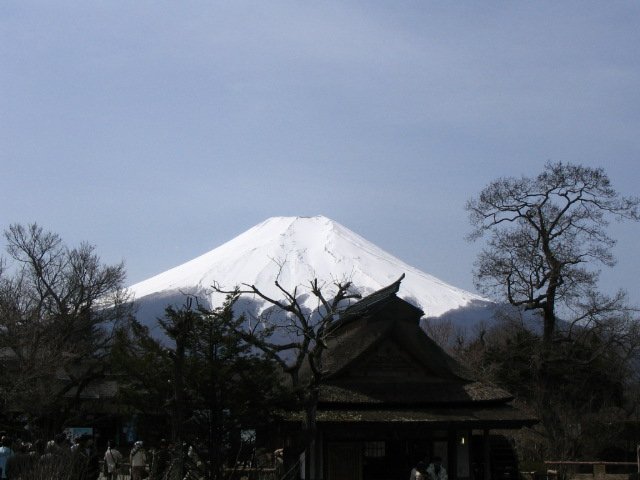 IMG_2458.JPG