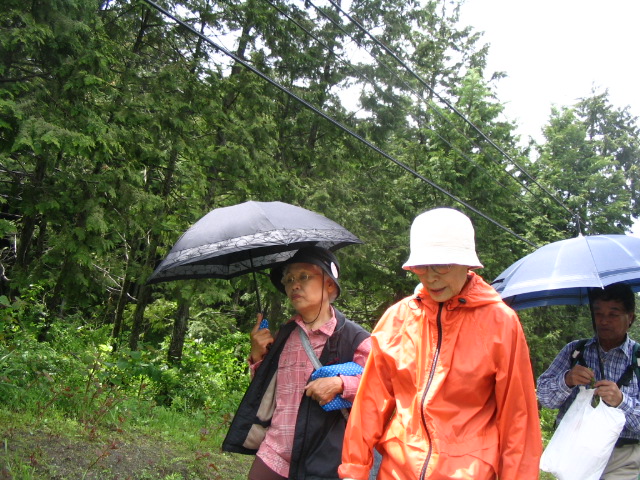 IMG_4727.JPG