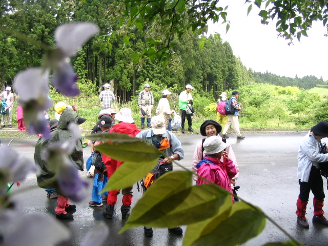IMG_4759.JPG