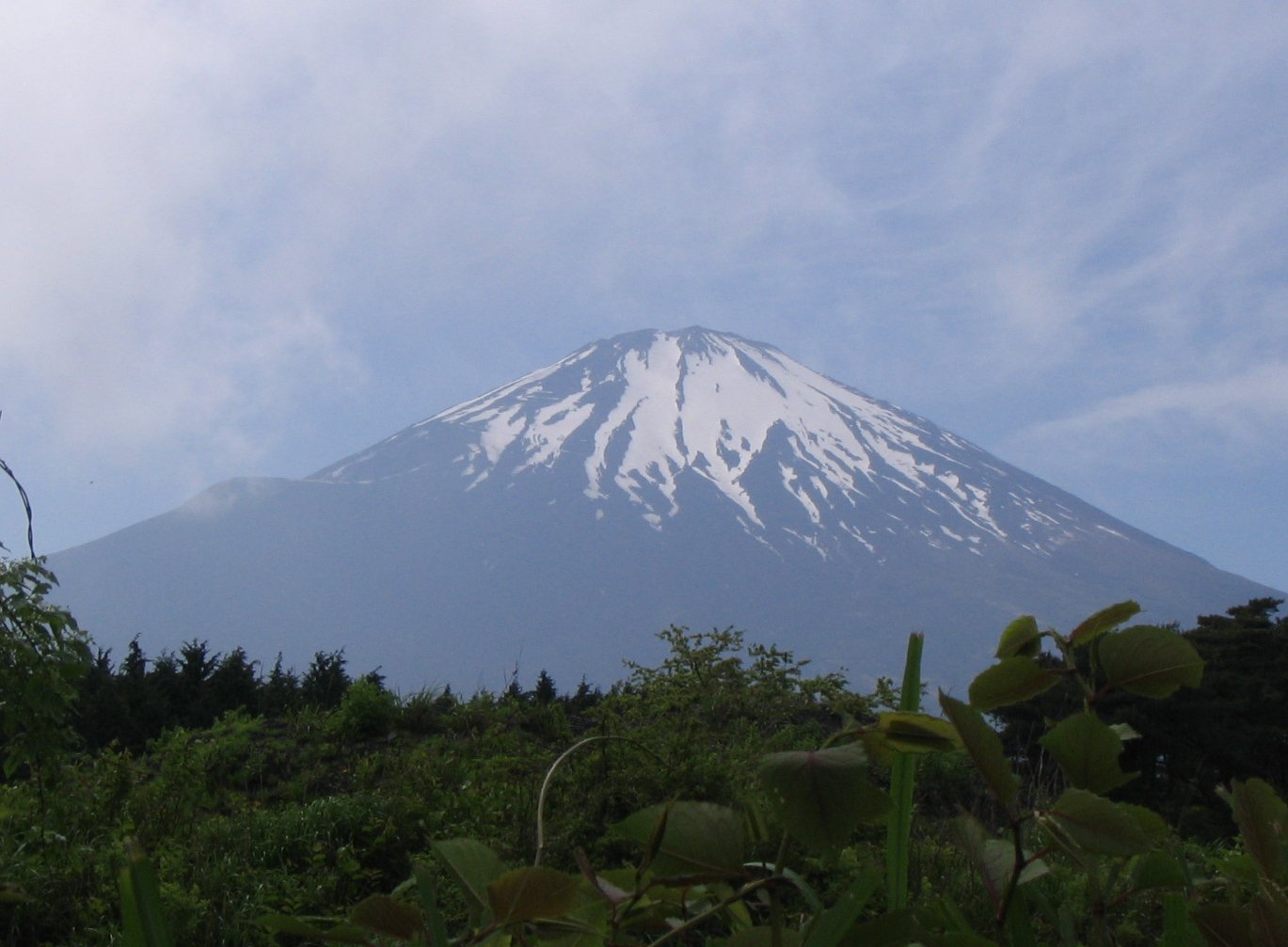 IMG_4778.JPG