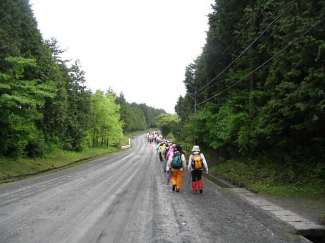IMG_4782.JPG