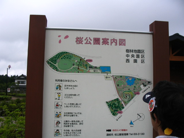 IMG_4786.JPG