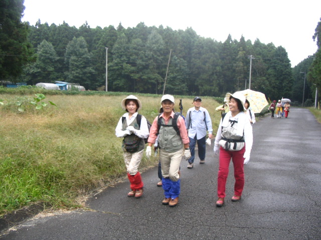 IMG_0950.JPG