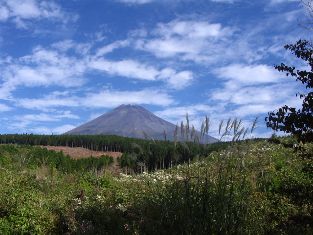 IMG_1540.JPG