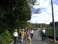 IMG_1690_thumb.png