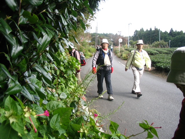 IMG_1693.JPG