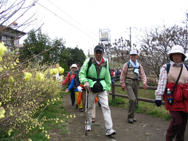 IMG_1284.JPG