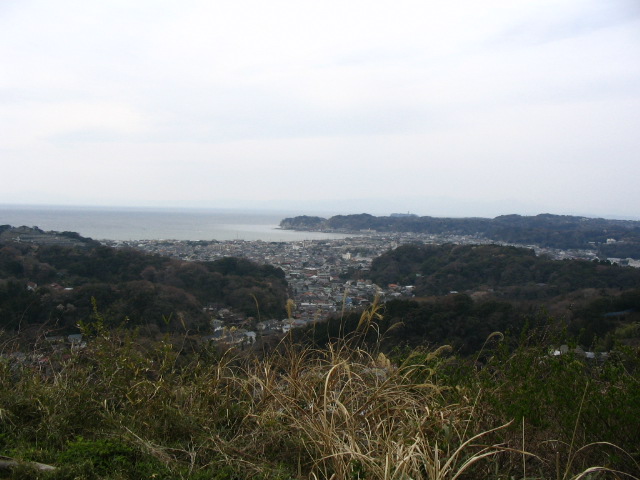 IMG_1313.JPG