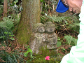 IMG_1318_thumb.png