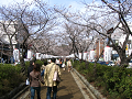 IMG_1411_thumb.png