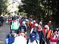 IMG_1455_thumb.png