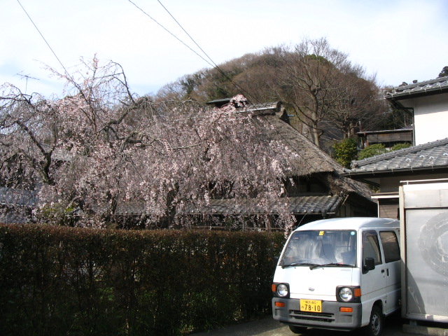 IMG_1469.JPG