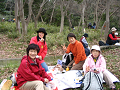 IMG_1206_thumb.png