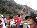 IMG_1112_thumb.png
