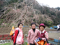 IMG_1117_thumb.png