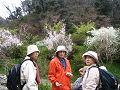 IMG_1124_thumb.png