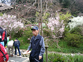 IMG_1125_thumb.png