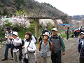 IMG_1129_thumb.png