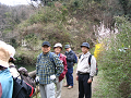 IMG_1141_thumb.png
