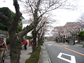 IMG_1158_thumb.png