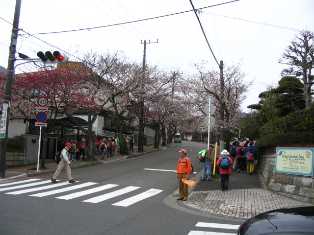 IMG_1164.JPG