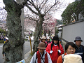 IMG_1169_thumb.png