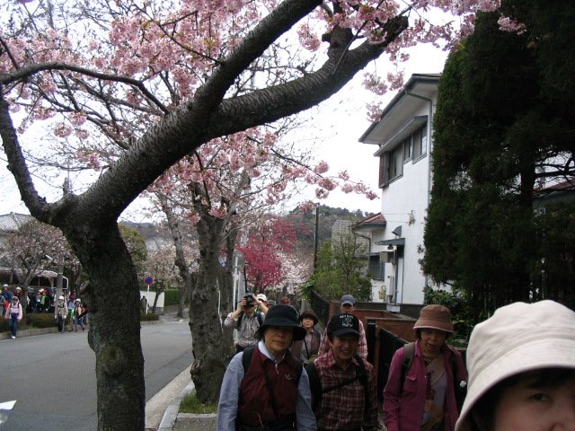 IMG_1173.JPG